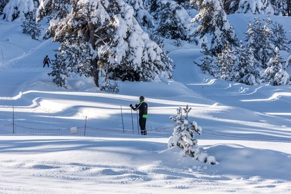 Ski de fond