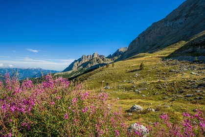 Col des Champs