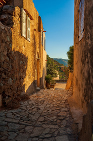 Pigna