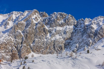 Isola 2000