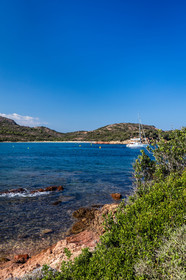 Rondinara