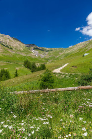 La Foux d'Allos