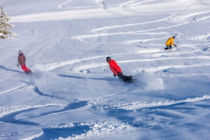 Snowboard
