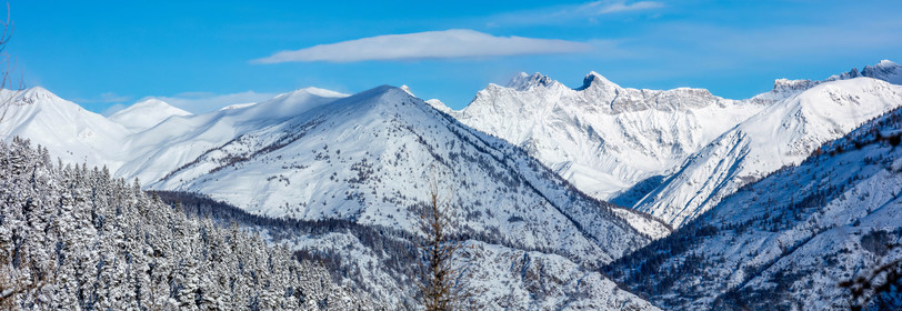 Auron