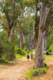 Lérins Sainte-Marguerite
