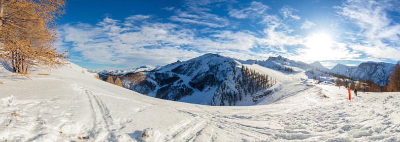 Auron