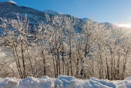 Auron