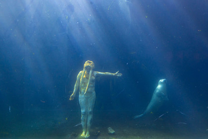 Seaquarium