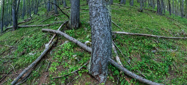 Rando Vtt Lacs de Lignin