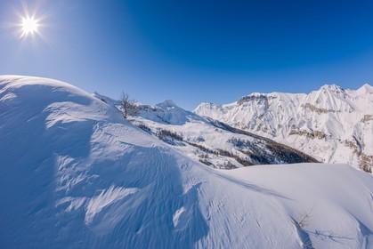 Auron