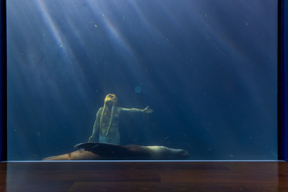Seaquarium
