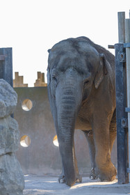 Parc animalier de la Barben