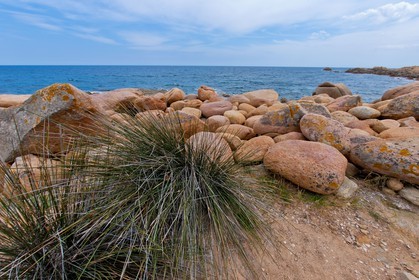 Capo Comino