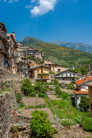 Tende