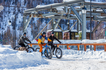 Fat Bike