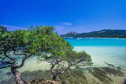 Porquerolles