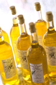 Huile d'olive, oléiculture