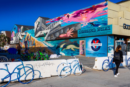 Etats-Unis, Californie-du-Sud, Los Angeles, Venice, Venice Beach