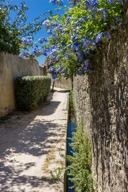 Ollioules