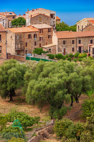 Piana