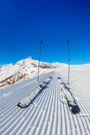 Auron