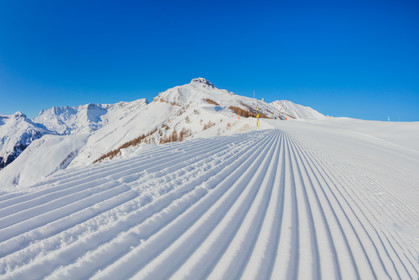 Auron