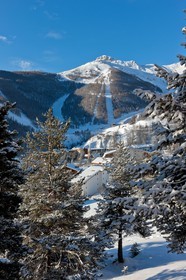 Auron