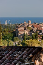 Biot