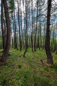 Plateau de Méouille