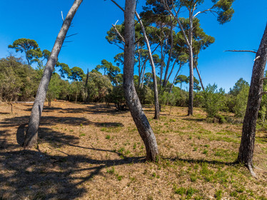Lérins Sainte-Marguerite 2024