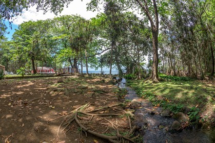 Ile de La Réunion