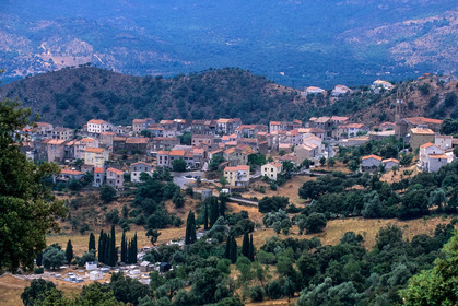 Moltifao