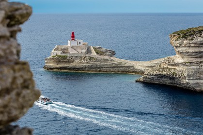 Bonifacio
