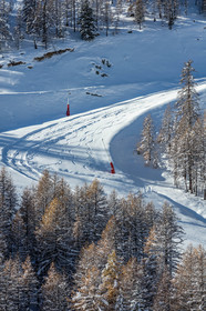 Isola 2000