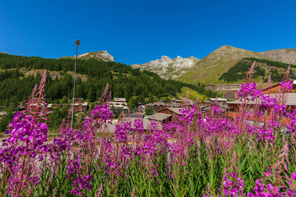 La Foux d'Allos