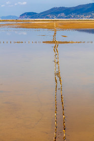 Salins d'Hyères