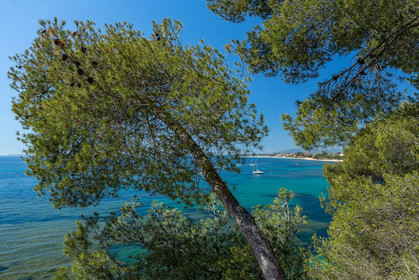 La Londe-les-Maures