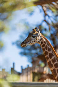 Parc animalier de la Barben