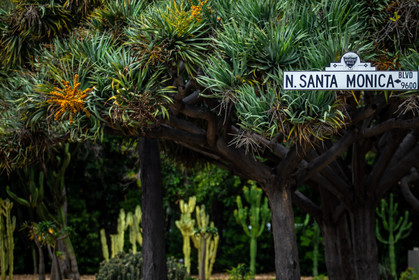 United States, South California, Los Angeles, Rodeo Drive