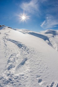 Auron