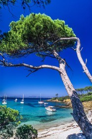 Porquerolles