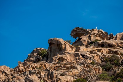 Capo d'Orso
