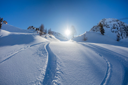 Snowboard