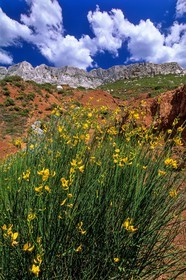 Sainte-Victoire