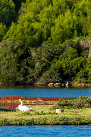 Lérins Sainte-Marguerite