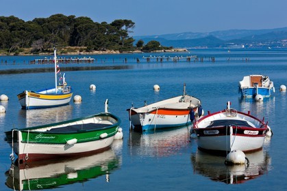 Pointus du Brusc