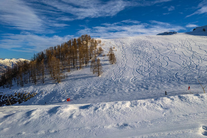 Auron