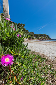 Plage de Fabrégas