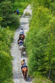 Equitation