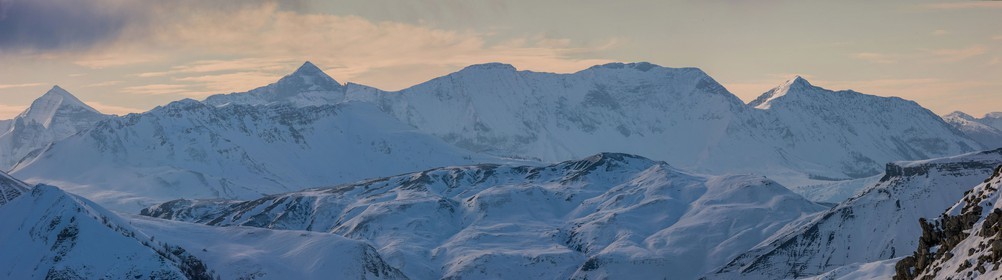 Auron